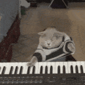 26�ڴβ��ţ�TikTok�ϵ�ƹ���������ү������-20.jpg