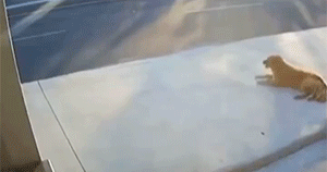 �������Һ������ҵ�������ѽ�������Ĳ����ƹ����-14.jpg