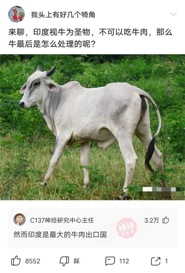ƹ����17���״ζ��𣬡�Ψ�����ۡ���ֹͣ�ˣ��벻Ҫ����˶�Ա-10.jpg