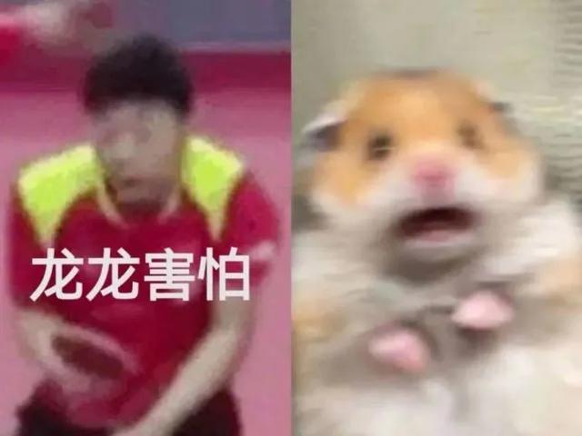 ��λƹ��������ھ����ڵ�������޹���-17.jpg