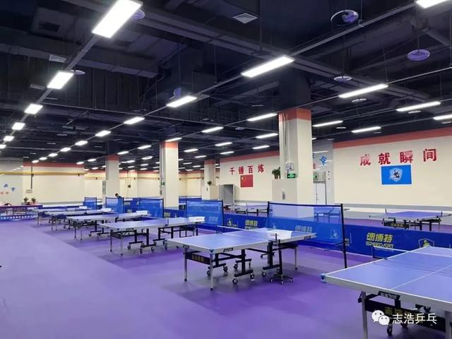 ���缶��ѫ������ƹ̳�����ų���ǿ�Ƽ��뱦��־��ƹ��-11.jpg